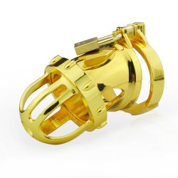 gold kinger male chastity device