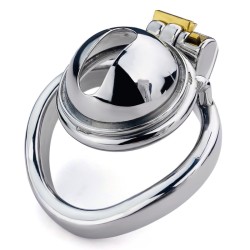 small-male-chastity-device-penis-cage.jpg